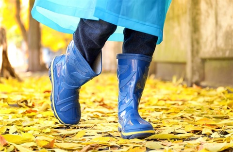 Gumboot Walk.JPG