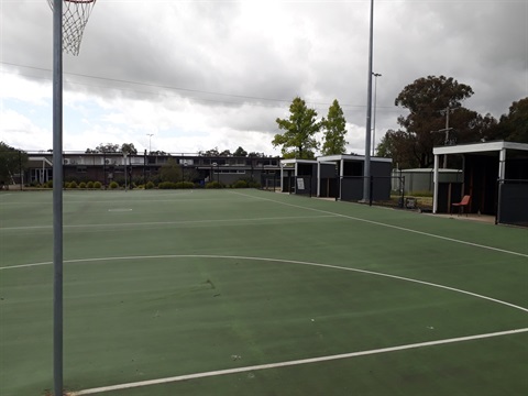 yarra glen netball image.jpg