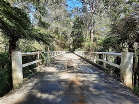 Cement Creek Bridge Update.jpg