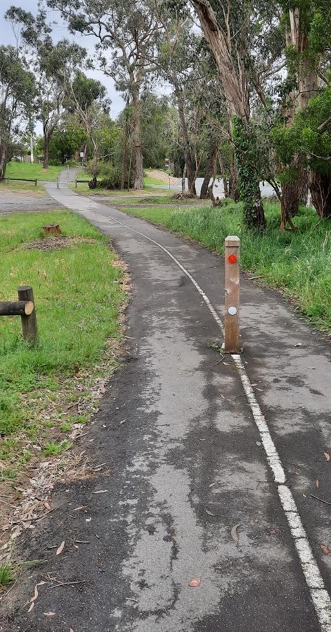 cambridge road trial.jpg