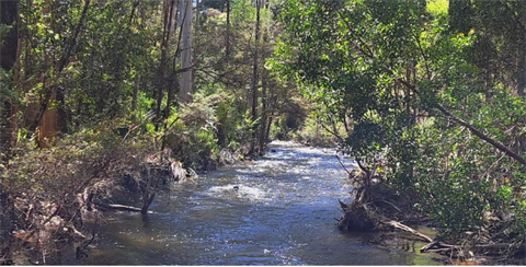 Upper Yarra LDS.PNG