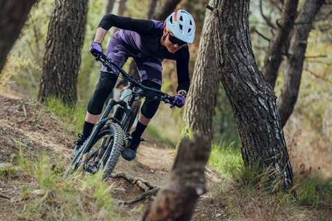 Stock image mountain bike riding low res.jpeg.jpg