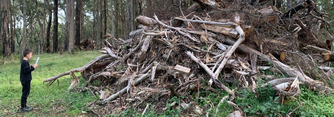 Child reading a letter to the fallen tree pile at One Tree Hill, 2022; Photo: care of the artists. 