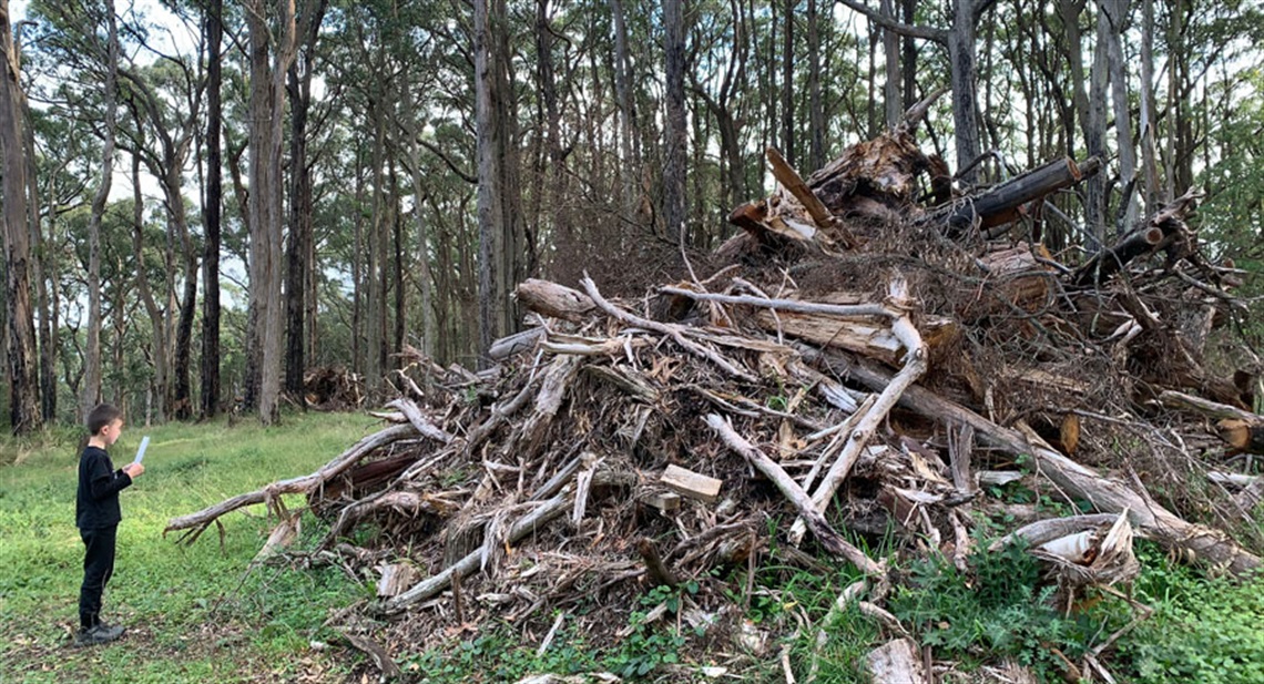 Child reading a letter to the fallen tree pile at One Tree Hill, 2022; Photo: care of the artists.