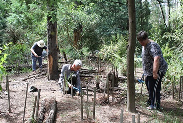 Friends of Belgrave Lake Park