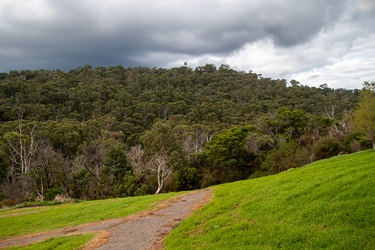 Glenfern Valley