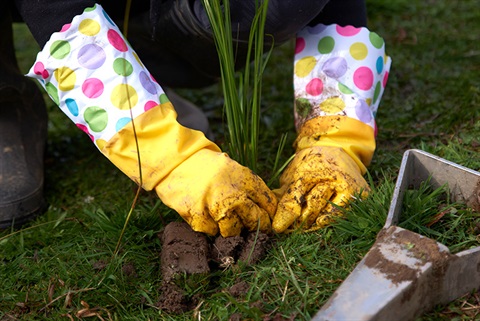 hands-planting-colourful-gloves.jpg