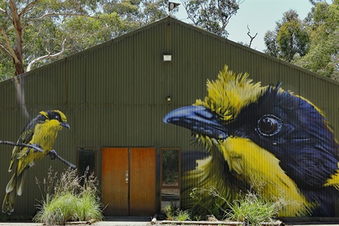 helmeted-honeyeater-education-centre.jpg