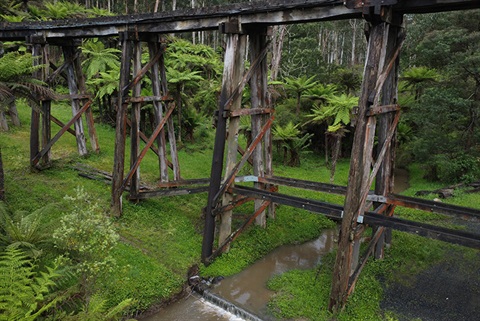 Monbulk-Creek-Trestle-Bridge-AdobeStock_769731769.jpg