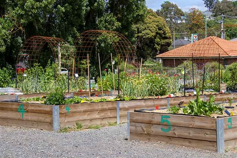 mooroolbark community garden (11).jpg