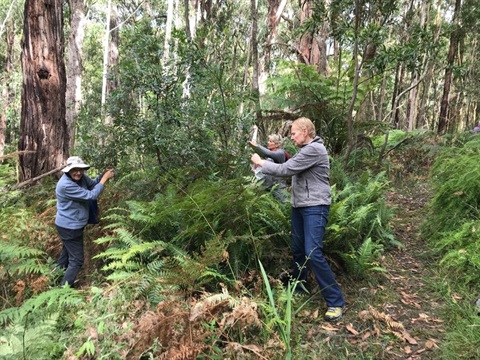 nangana-landcare-group.jpg