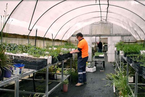 southern-dandenongs-nursery.jpg